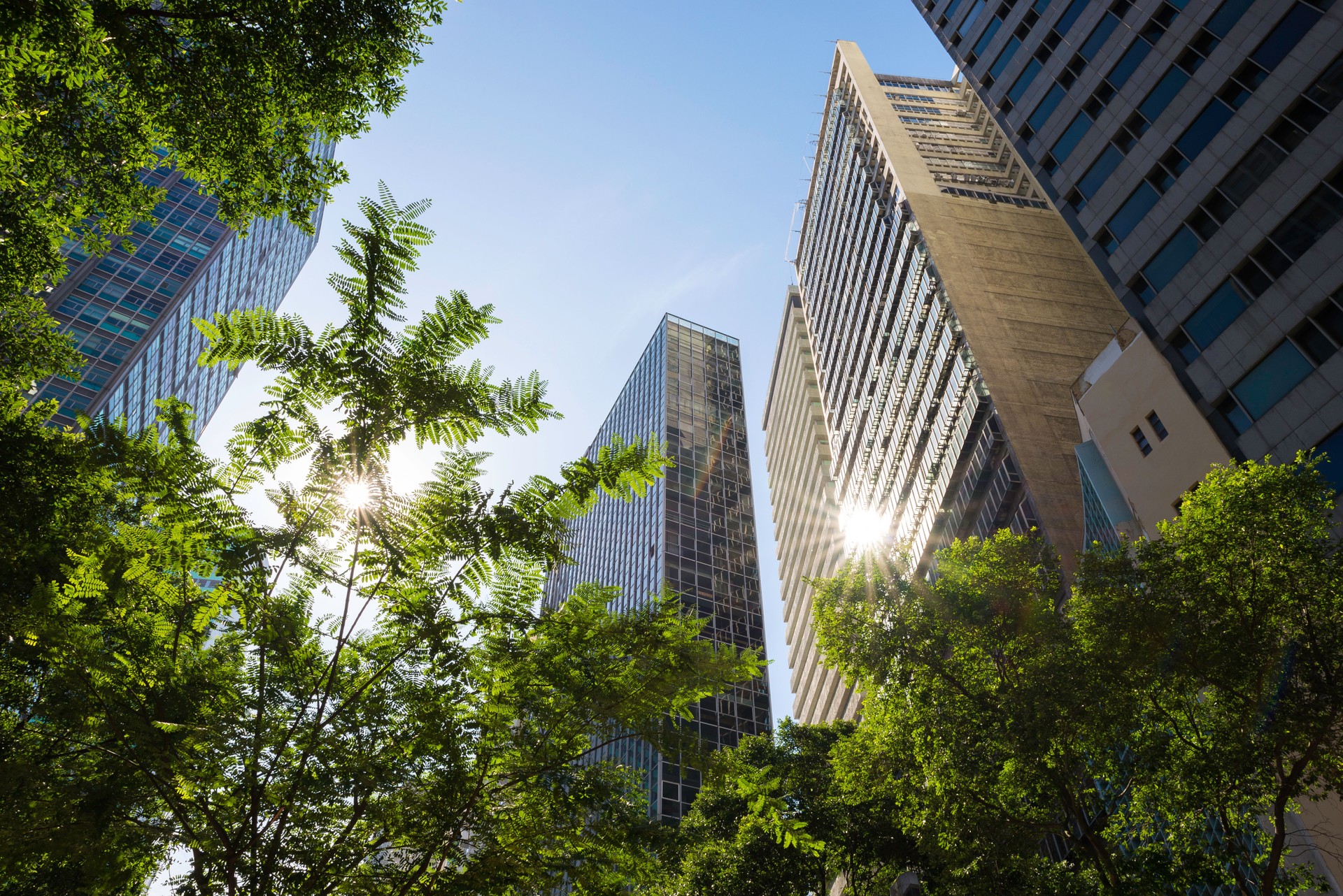 Office Buildings and Trees With Sunshine